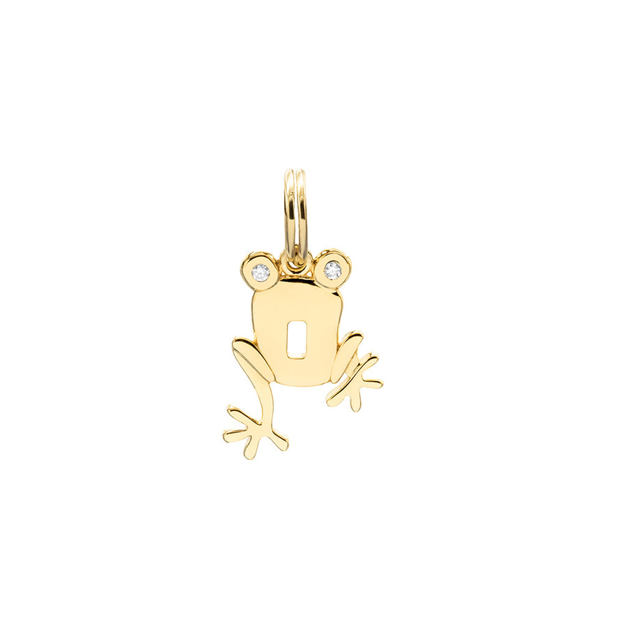Puzzle Charm Frog