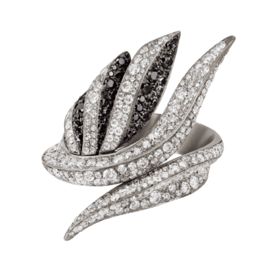 Anello ventagli